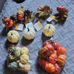 NwT- Assorted Decorative Pumpkins and Gourds 31 Total Pieces